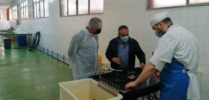 visita dogo antoñanzas mayo