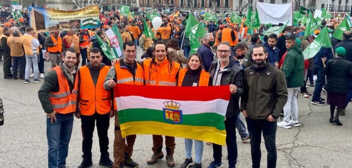 manifestacion madrid