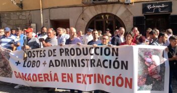 WhatsApp Image 2022-06-01 at 9.30.22 AM