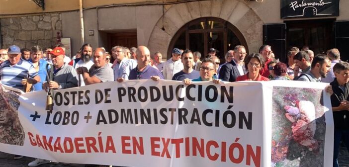 WhatsApp Image 2022-06-01 at 9.30.22 AM