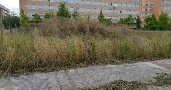 Desbroce parcelas 1 (julio 2018)_opt