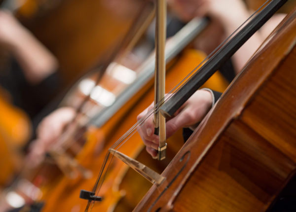 PR+ Rioja propone un Conservatorio Superior de Música en Calahorra