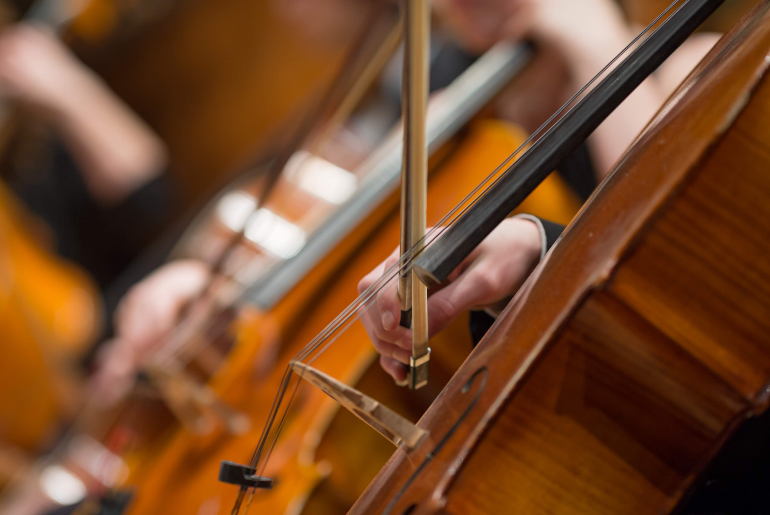 PR+ Rioja propone un Conservatorio Superior de Música en Calahorra